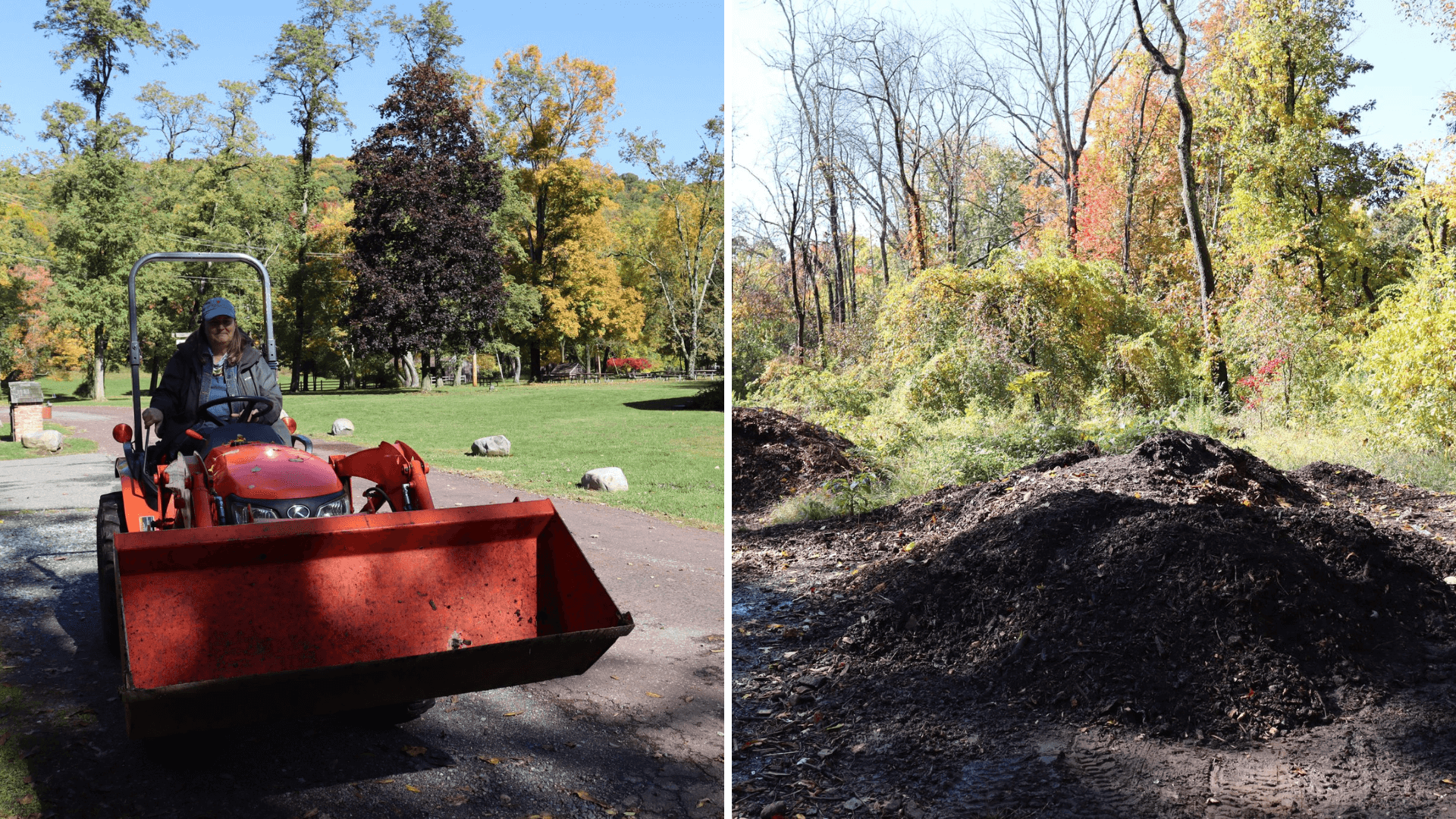 Person driving a red tractor on a path lined with rocks in a park setting; adjacent image shows piles of compost with trees in the background.