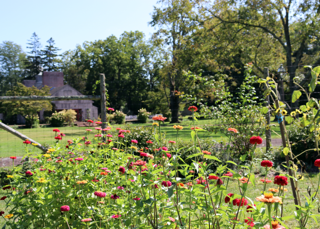 A garden with various colorful flowers in the foreground, with a lush green lawn and trees surrounding a small brick house in the background under a clear blue sky.