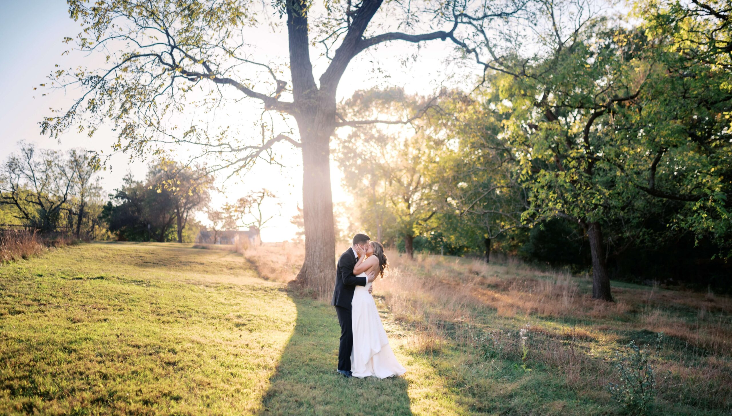 A bride and groom embrace under a large tree in a sunlit field, with green grass and scattered trees in the background.