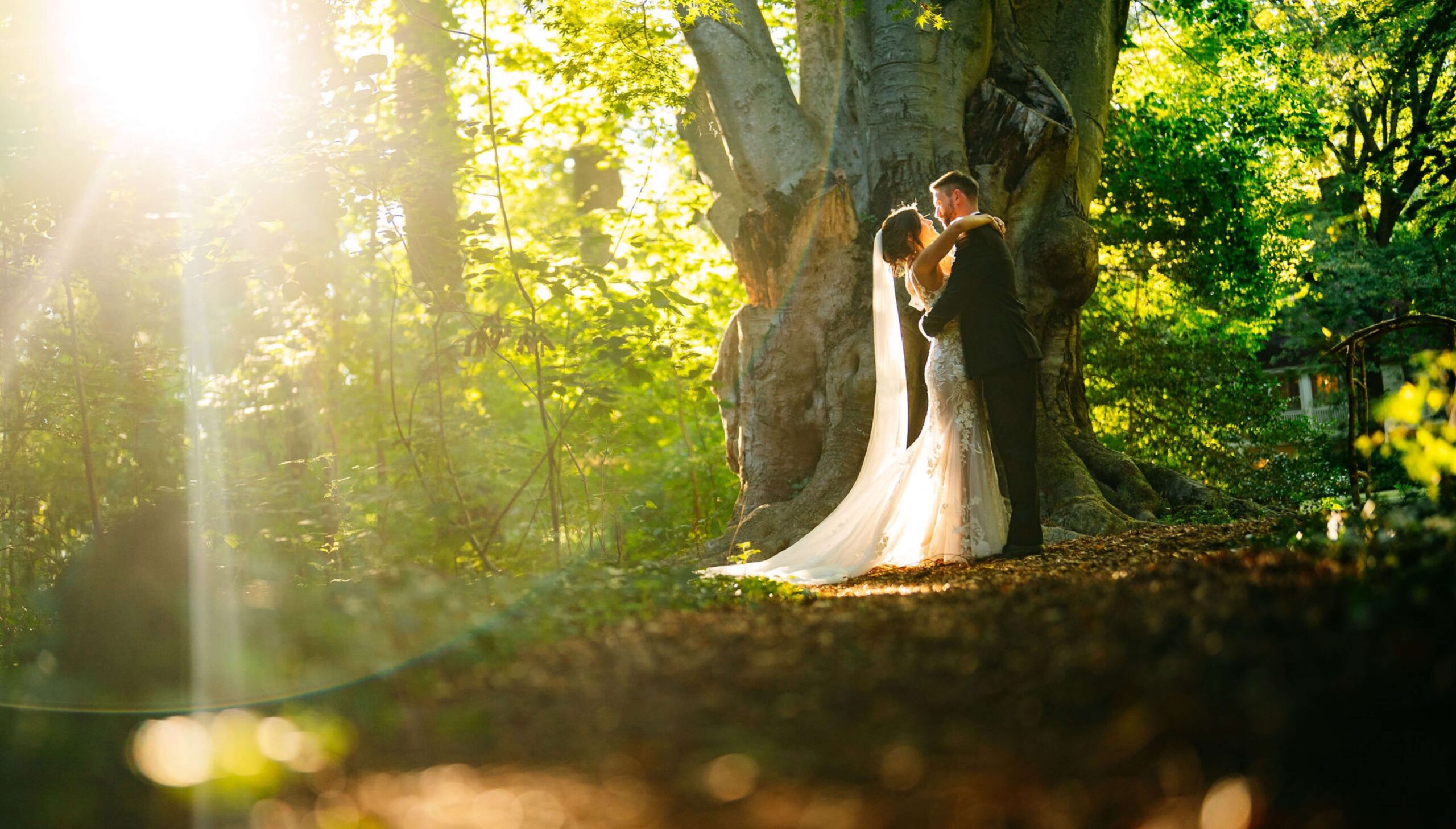 A couple in wedding attire embraces under a large tree in a sunlit forest setting.