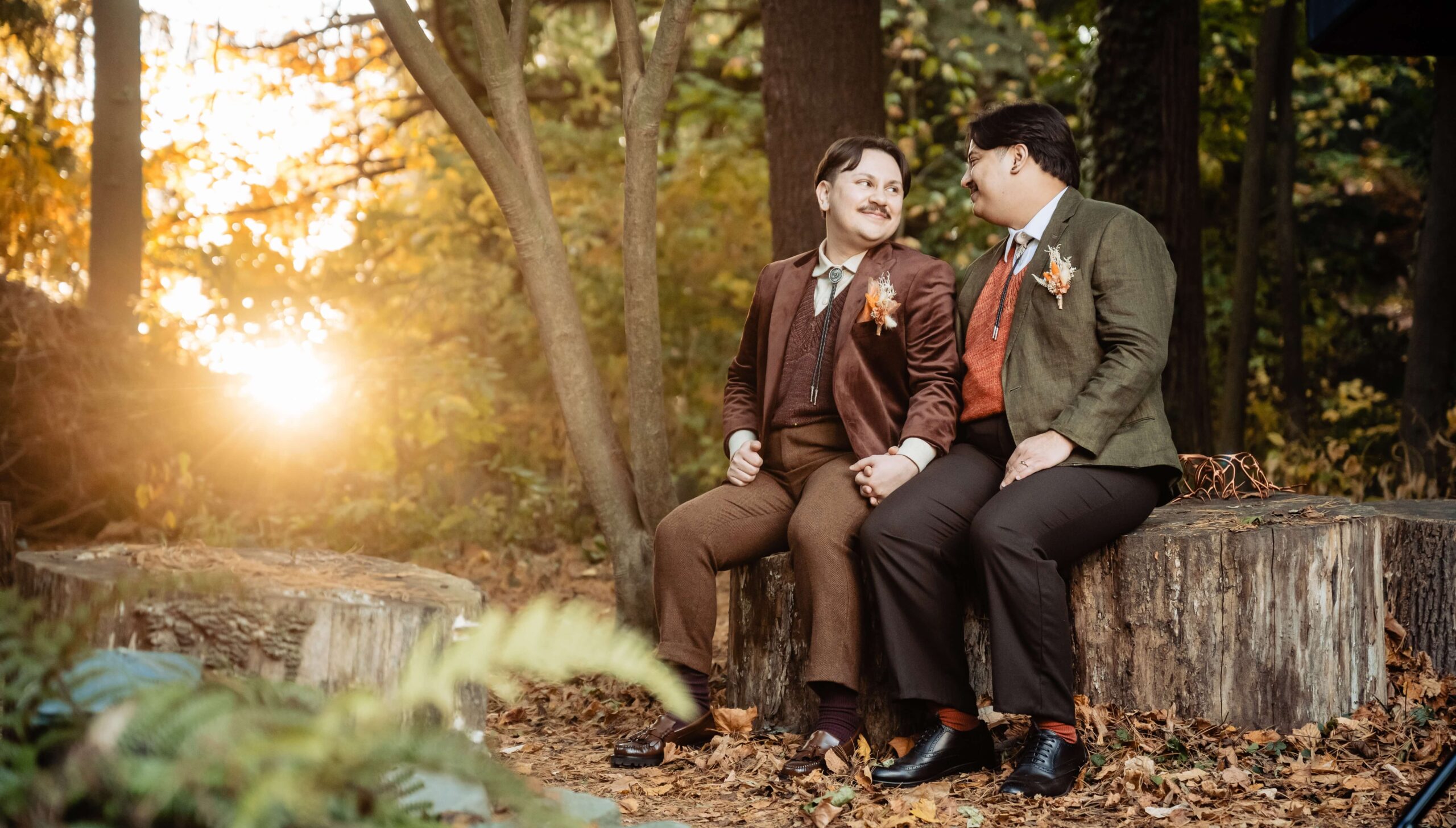 Two people in suits sitting on a large tree stump in a forest setting, holding hands and smiling at each other. The sun is setting in the background.