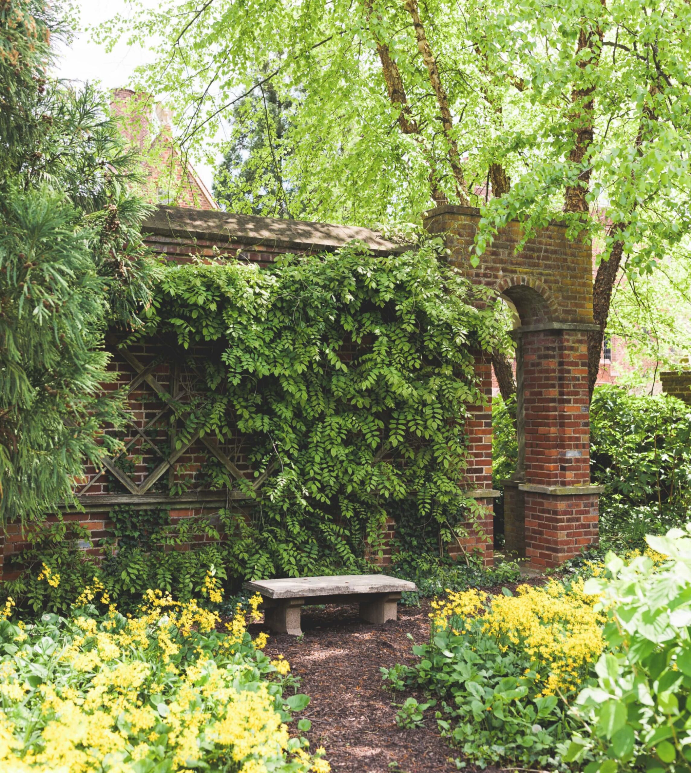 A stone bench sits in a garden with yellow flowers and green foliage, adjacent to a brick archway covered in vines.