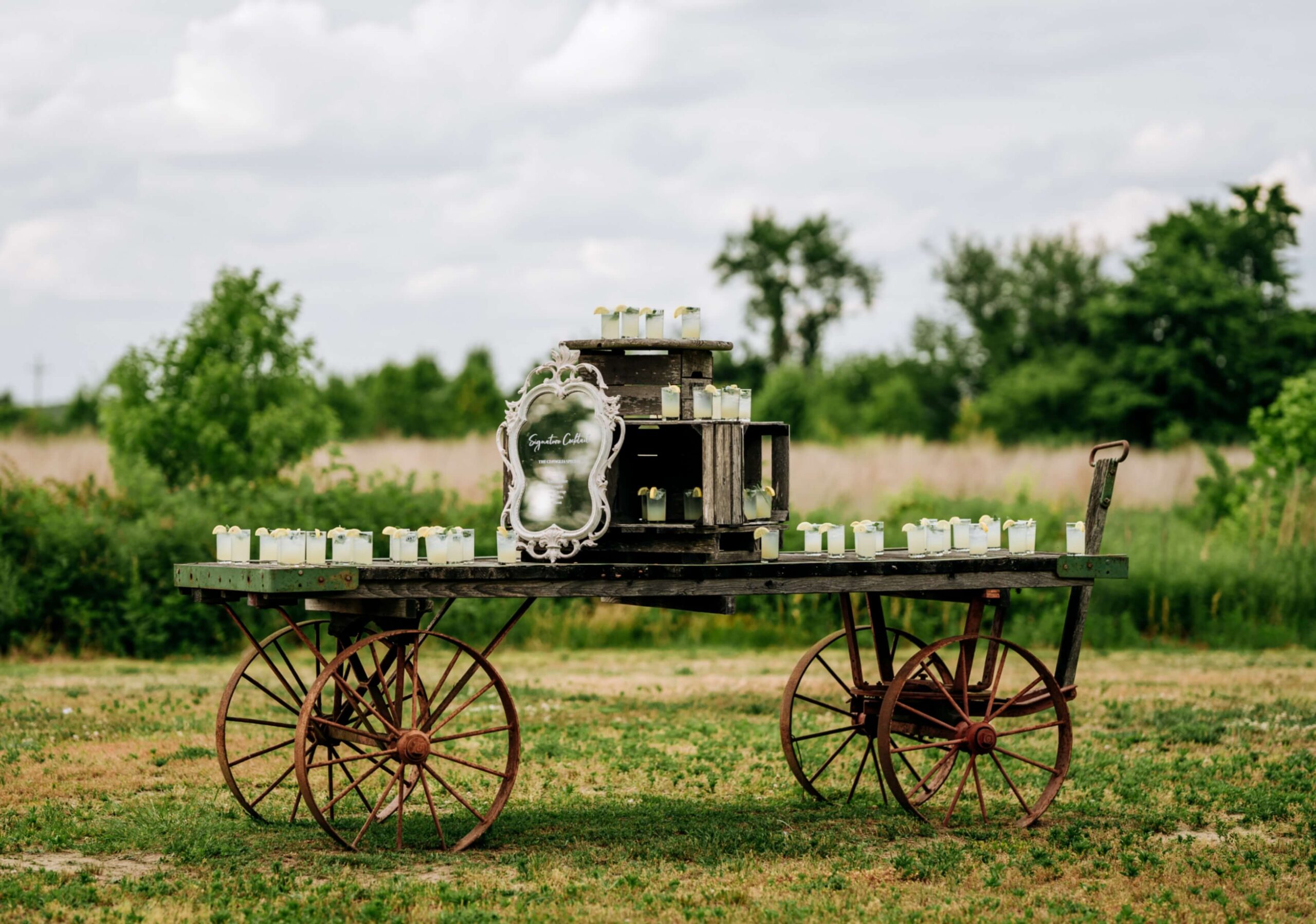 A vintage wooden cart with large wheels holds a display of small potted plants and a decorative sign, set in an outdoor grassy area with trees in the background.