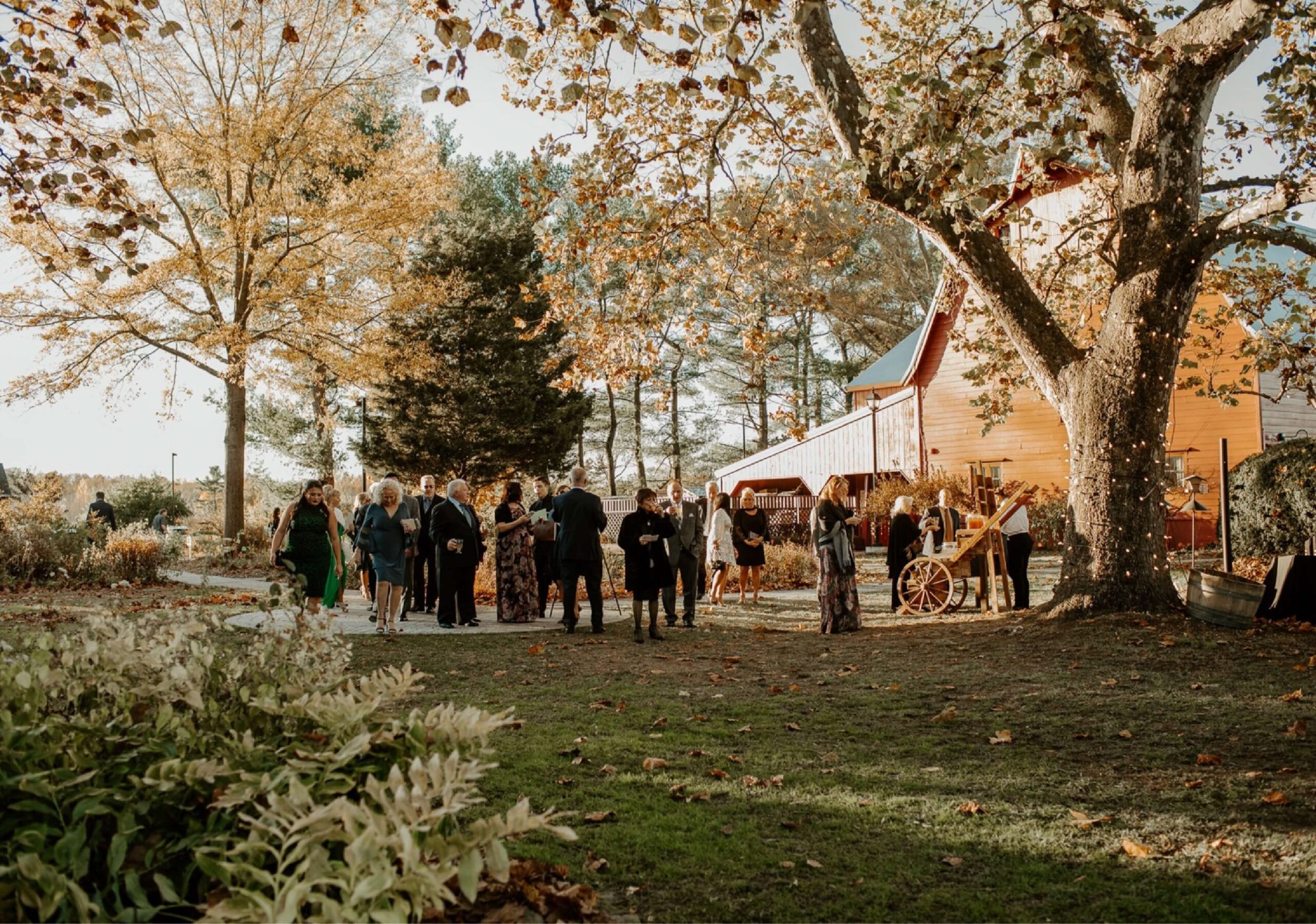 A group of people gather outdoors near trees and a wooden structure on a sunny day.