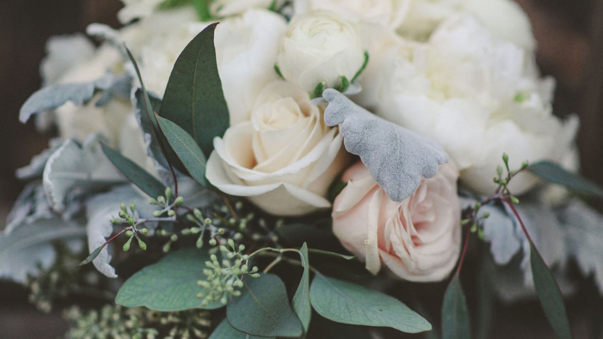 A bouquet of white and pale pink roses with green and grey foliage.